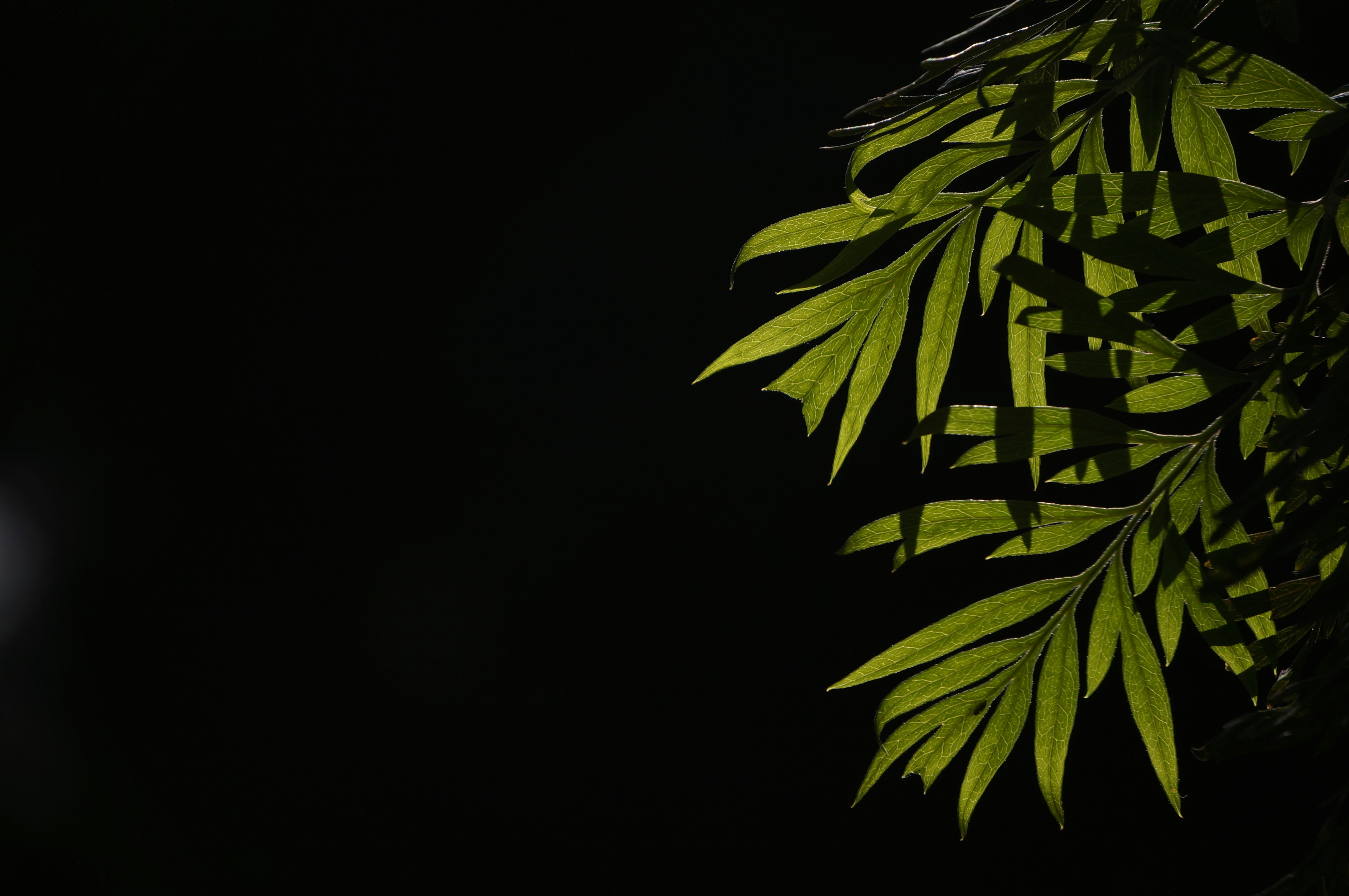 Free Unsplash photo from Jimmy Kiamy