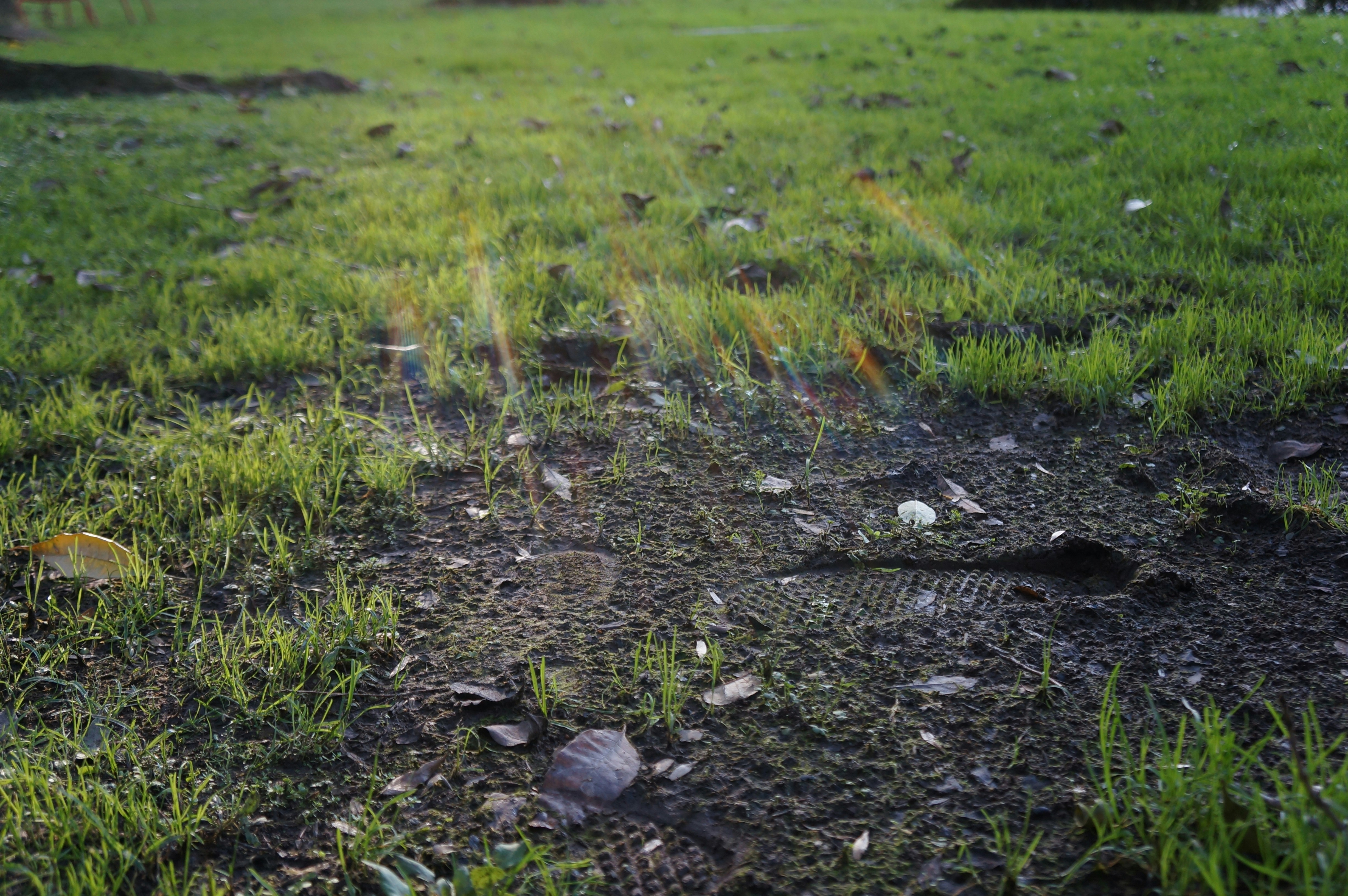 Free Unsplash photo from Jimmy Kiamy