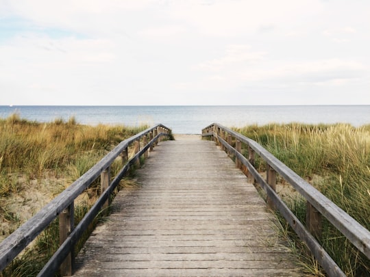 photo of gray wooden bridge in Dahme Germany