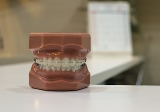 A dental model displaying a set of human teeth with braces. The model is placed on a flat surface, and there is an out-of-focus calendar in the background.
