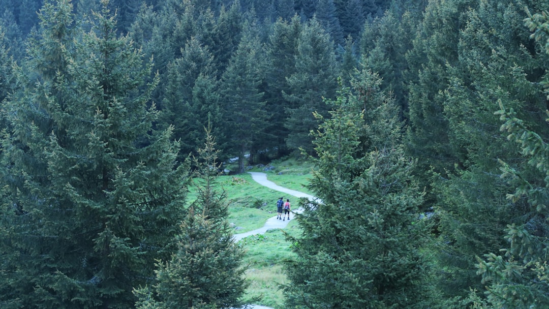 Highland photo spot Grawa Wasserfall Stubaital