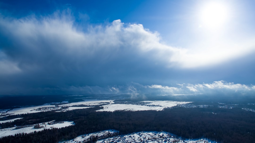 aerial view of forest