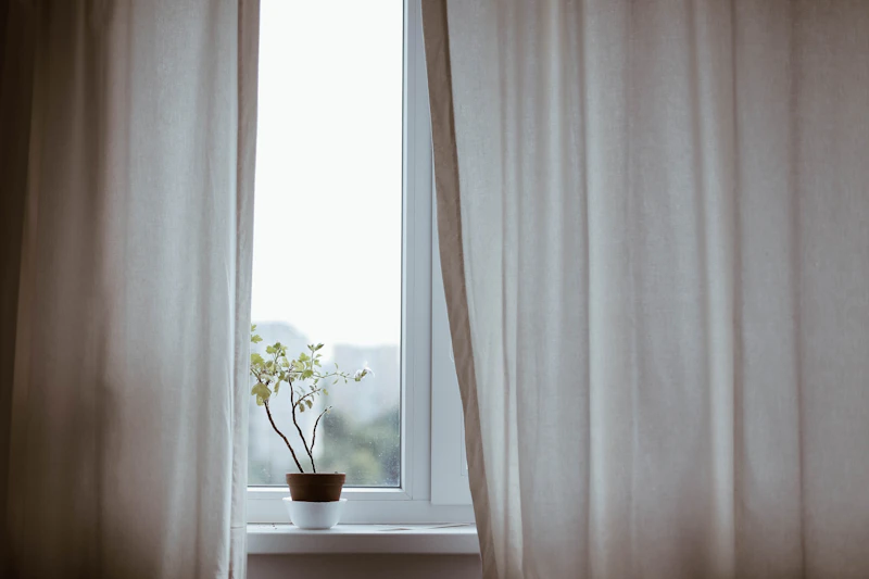 A potted flowering plant on a sun-drenched windowsill — growth and warmth