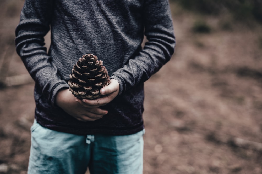 person holding pine cone