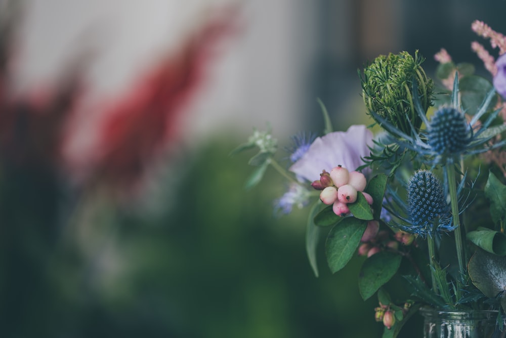 closeup photo of petaled flowers