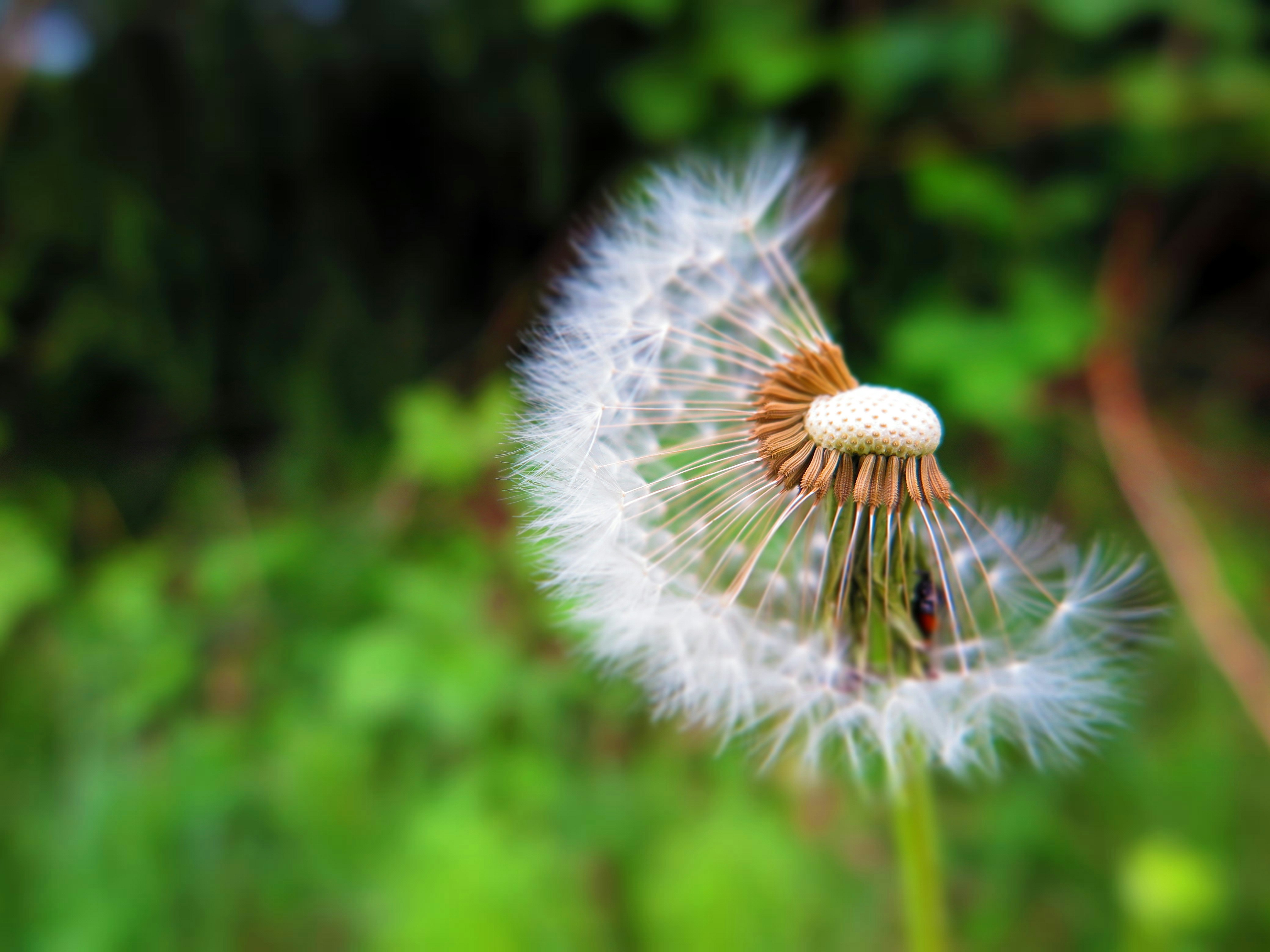 Free Unsplash photo from marco forno