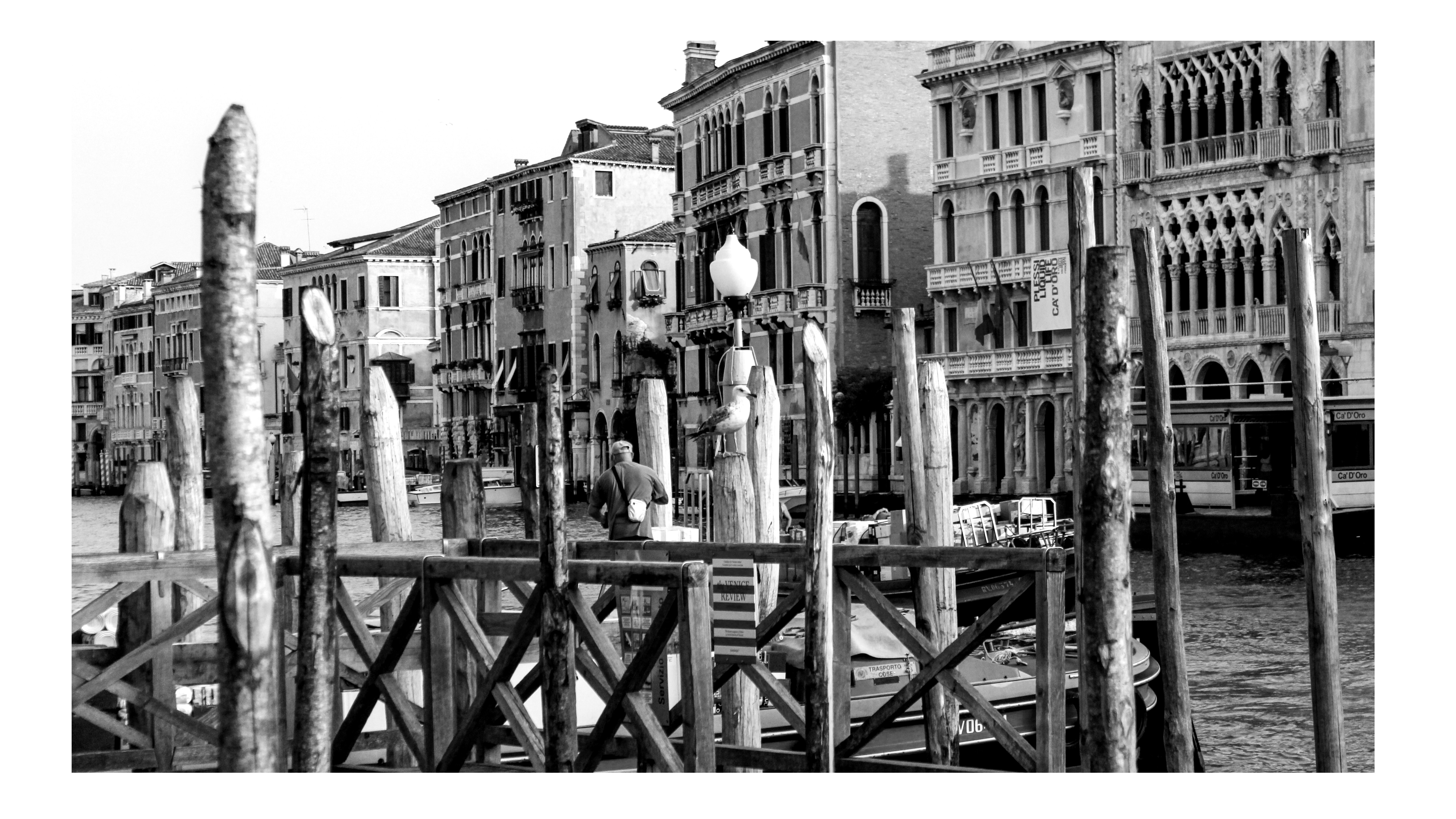 Free Unsplash photo from Heldig Nik