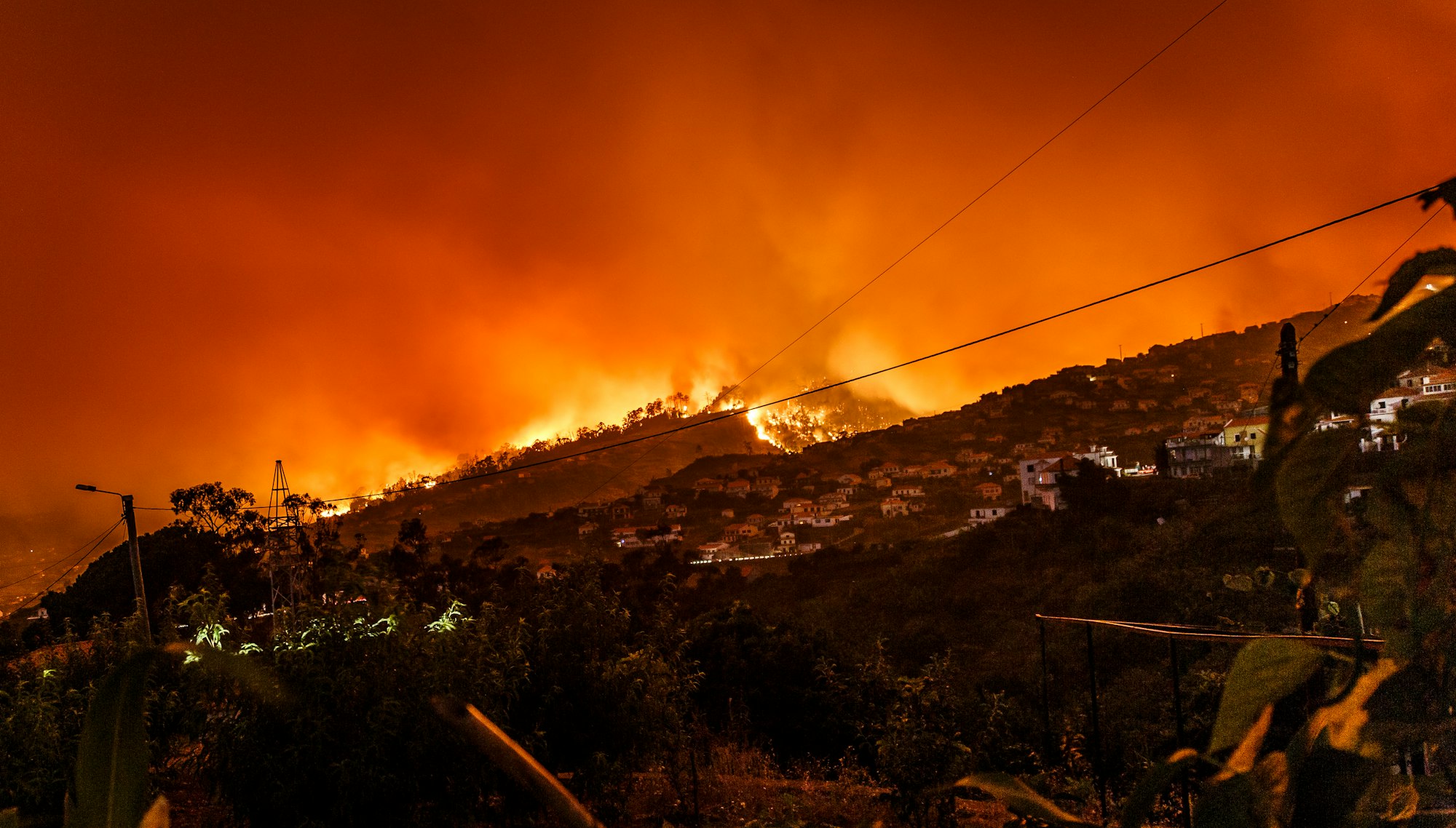 California Fires Moratorium
