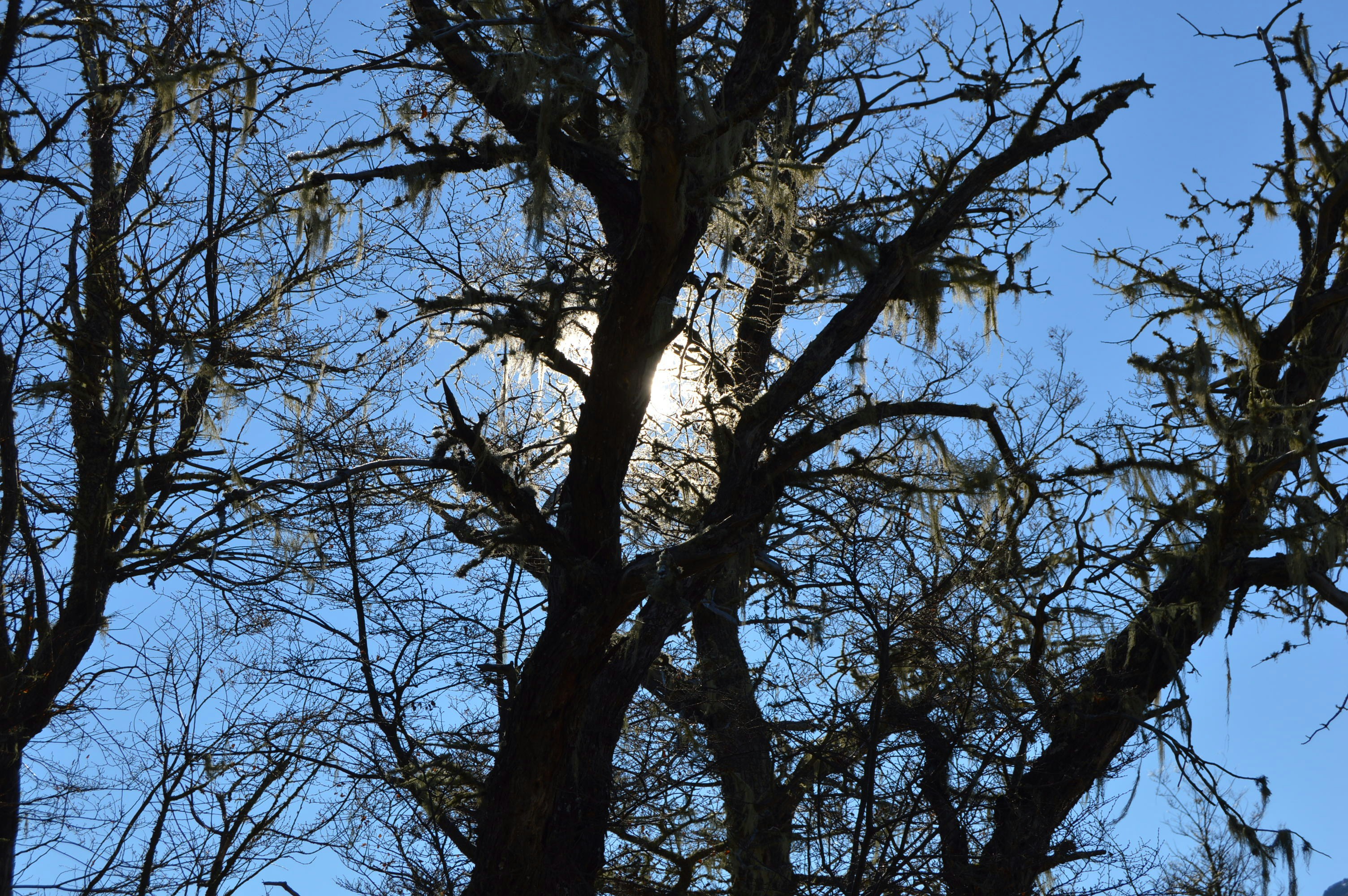 Free Unsplash photo from Claudia Comaru