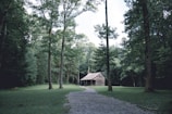 A rustic wooden cabin is nestled within a forest clearing. Tall trees surround the area, providing a lush green canopy. A gravel path leads up to the cabin, cutting through the grassy terrain. The atmosphere is serene and untouched by modernity.