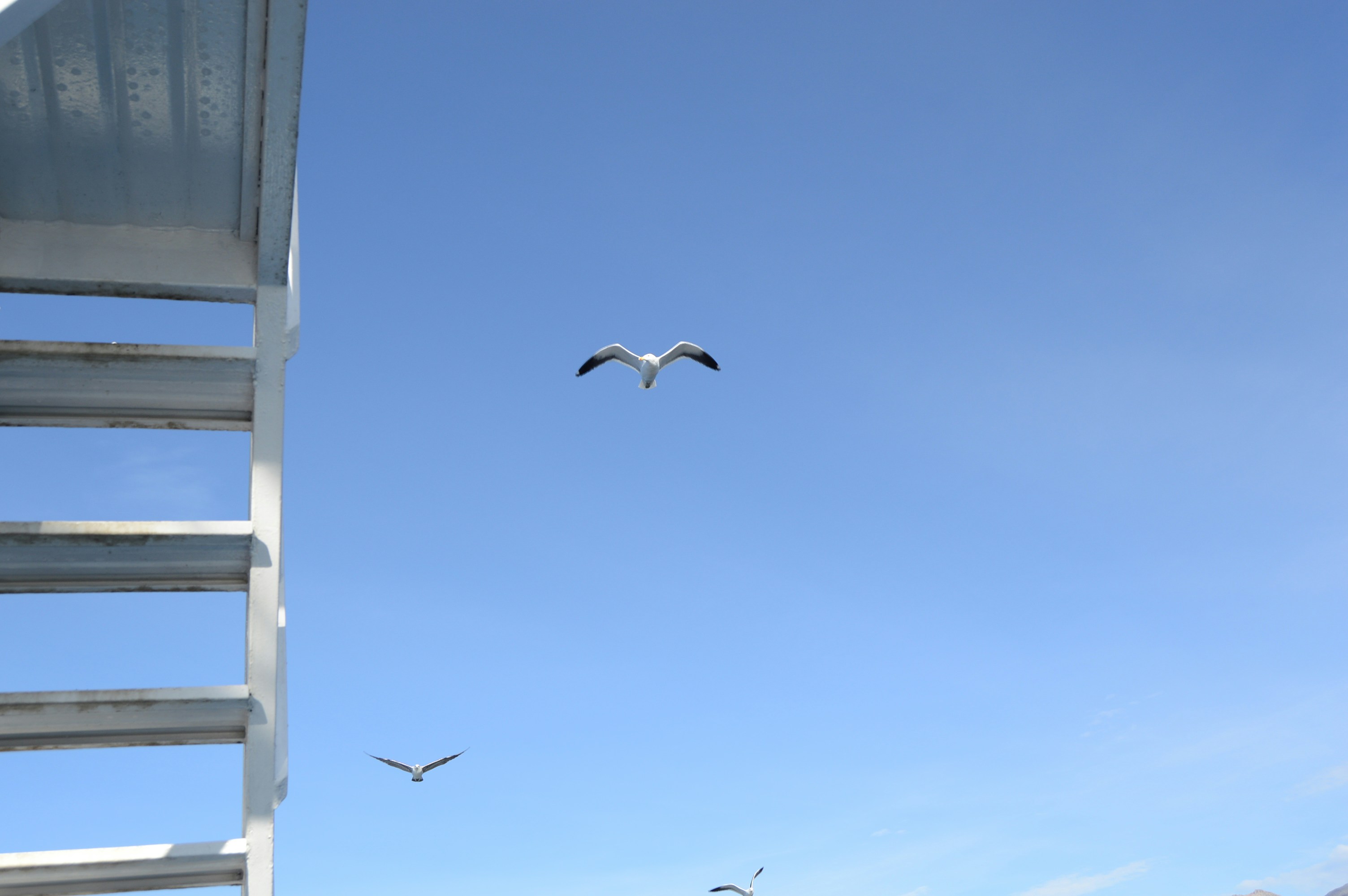 Free Unsplash photo from Claudia Comaru