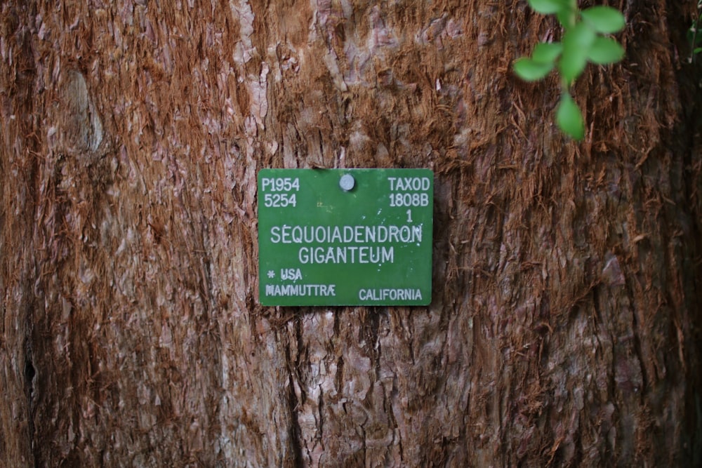 Panneau de citation vert et noir sur arbre brun