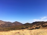 Rolling hills with dry, golden grass in the foreground and green shrubbery on the hillsides under a clear, vibrant blue sky.