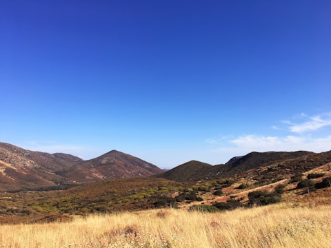 Rolling hills with dry, golden grass in the foreground and green shrubbery on the hillsides under a clear, vibrant blue sky.