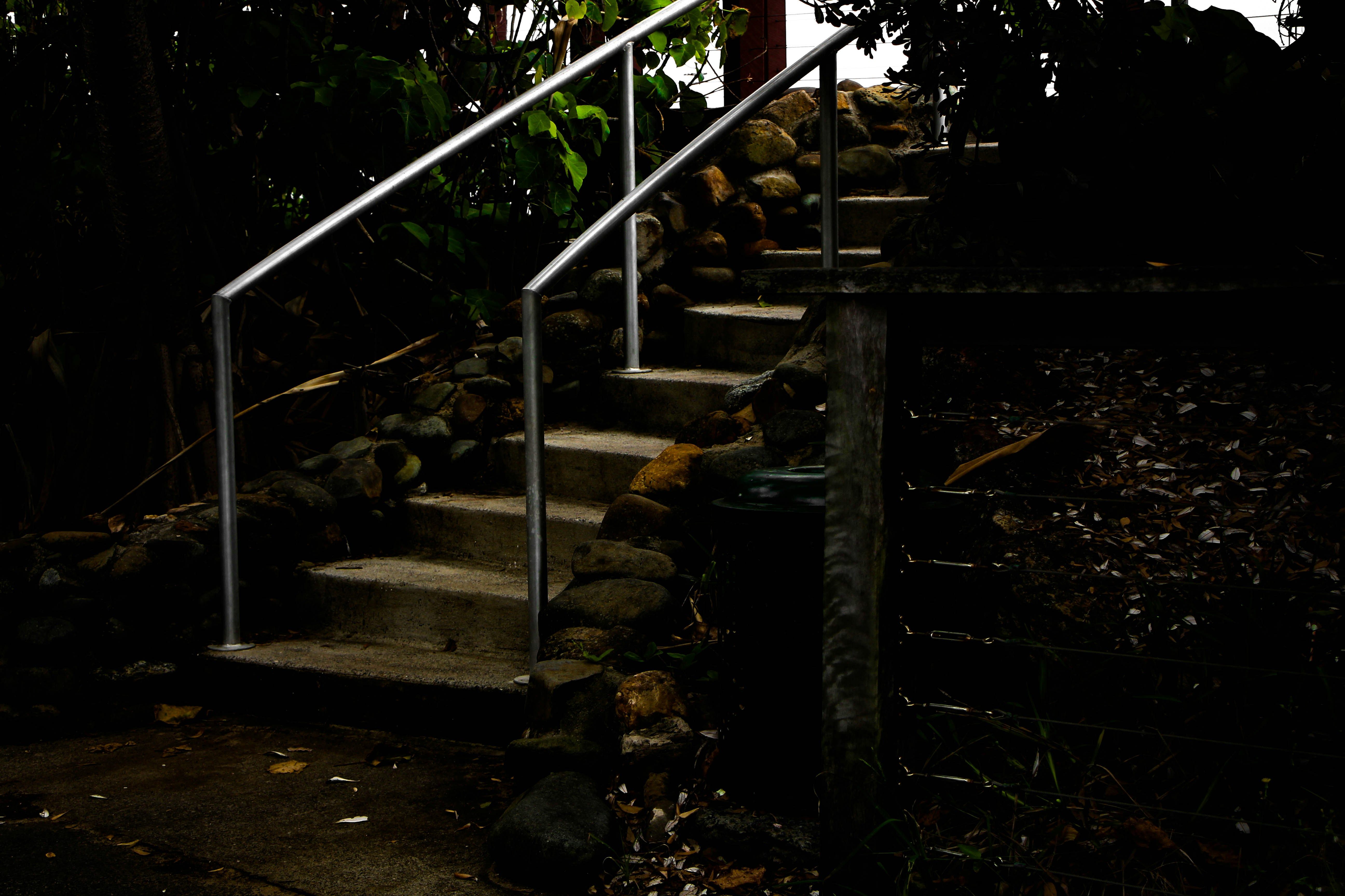 Free Unsplash photo from Will Laver