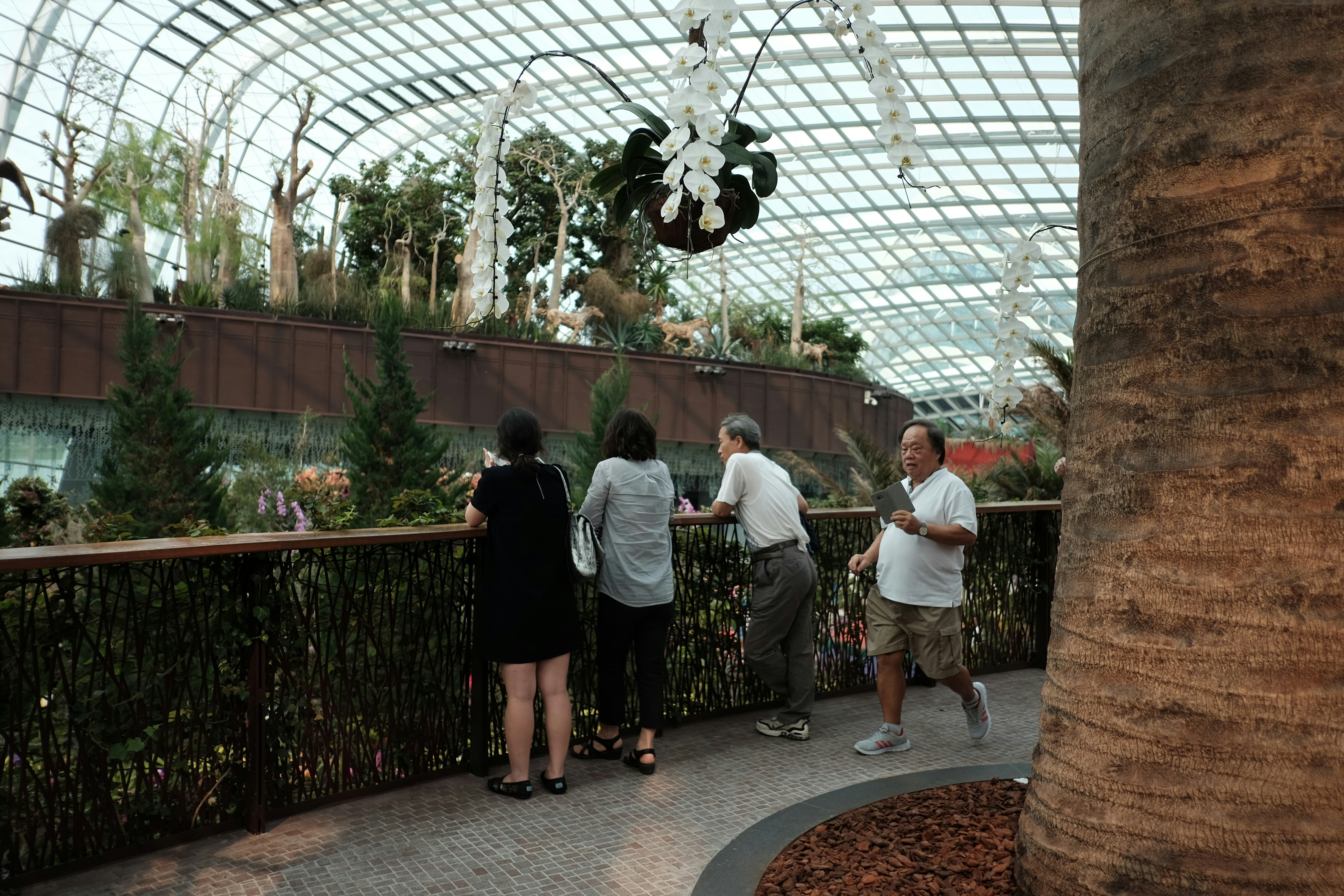 Free Unsplash photo from Pattita Mongkolsuk