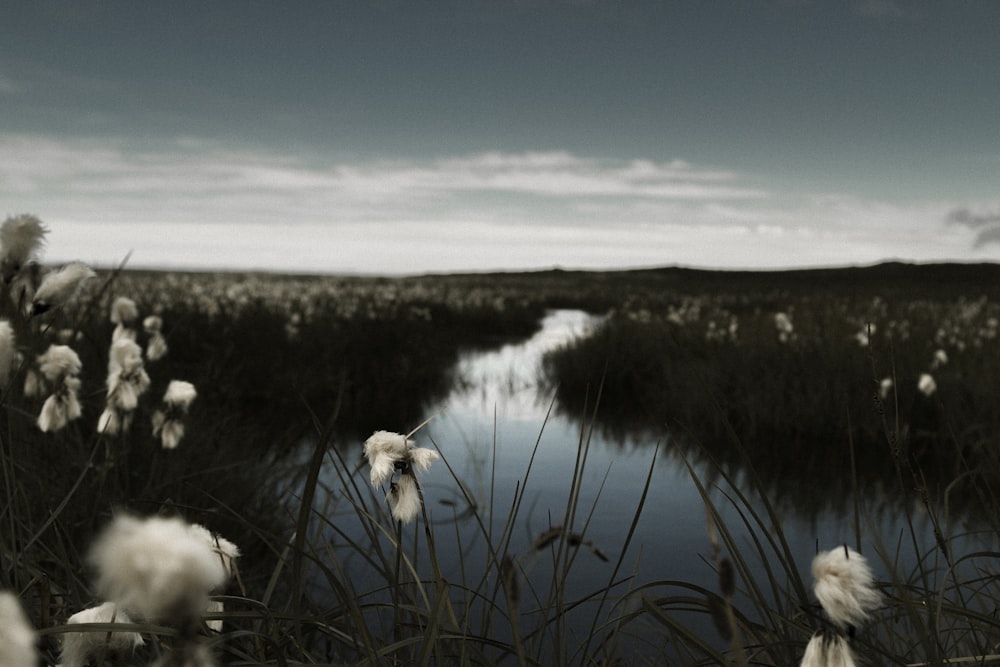 body of water under gray sky