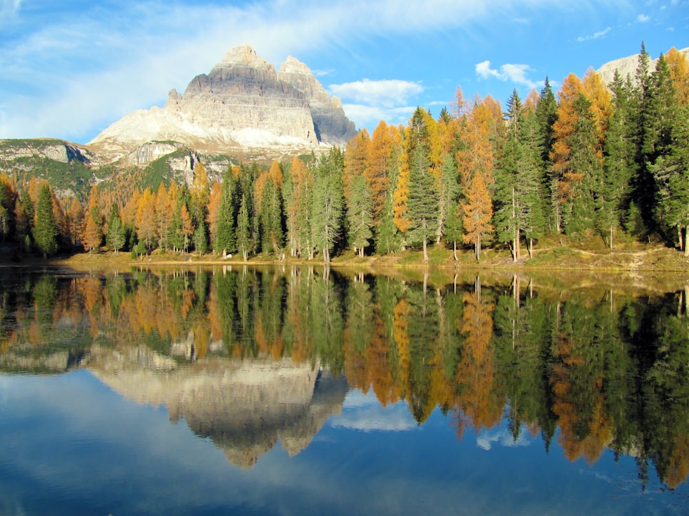 lake surrounded by trees