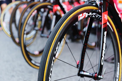 Close-up of BMX bikes lined up on the edge of the Ruckstrack BMX park in Hermosillo.