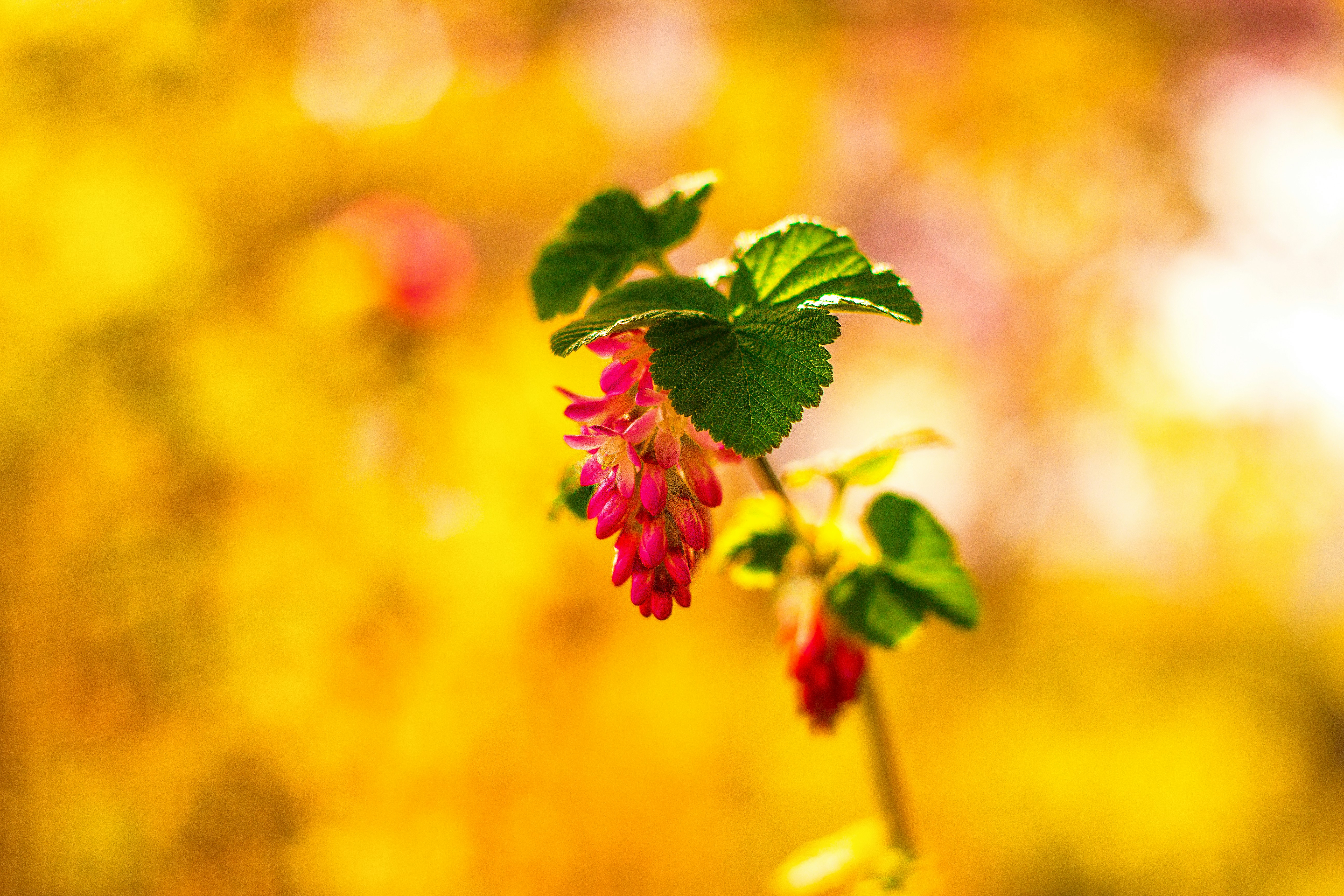 Free Unsplash photo from Alexander Klarmann