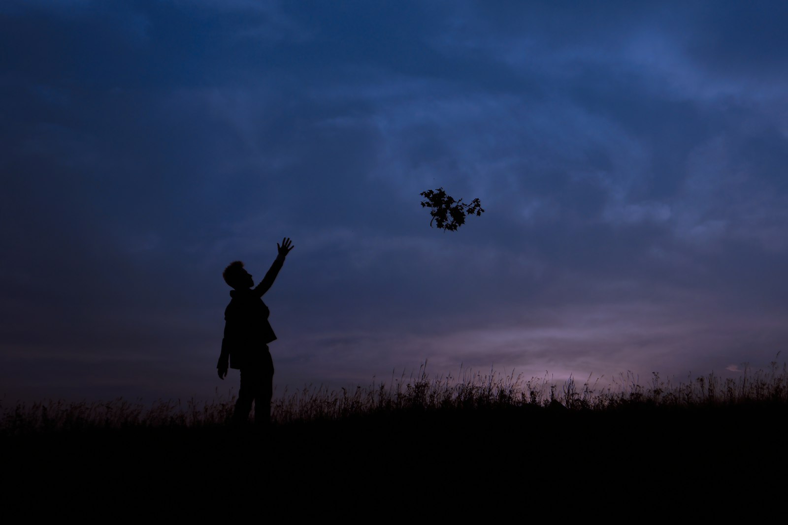 Sony SLT-A65 (SLT-A65V) sample photo. Silhouette of man during photography