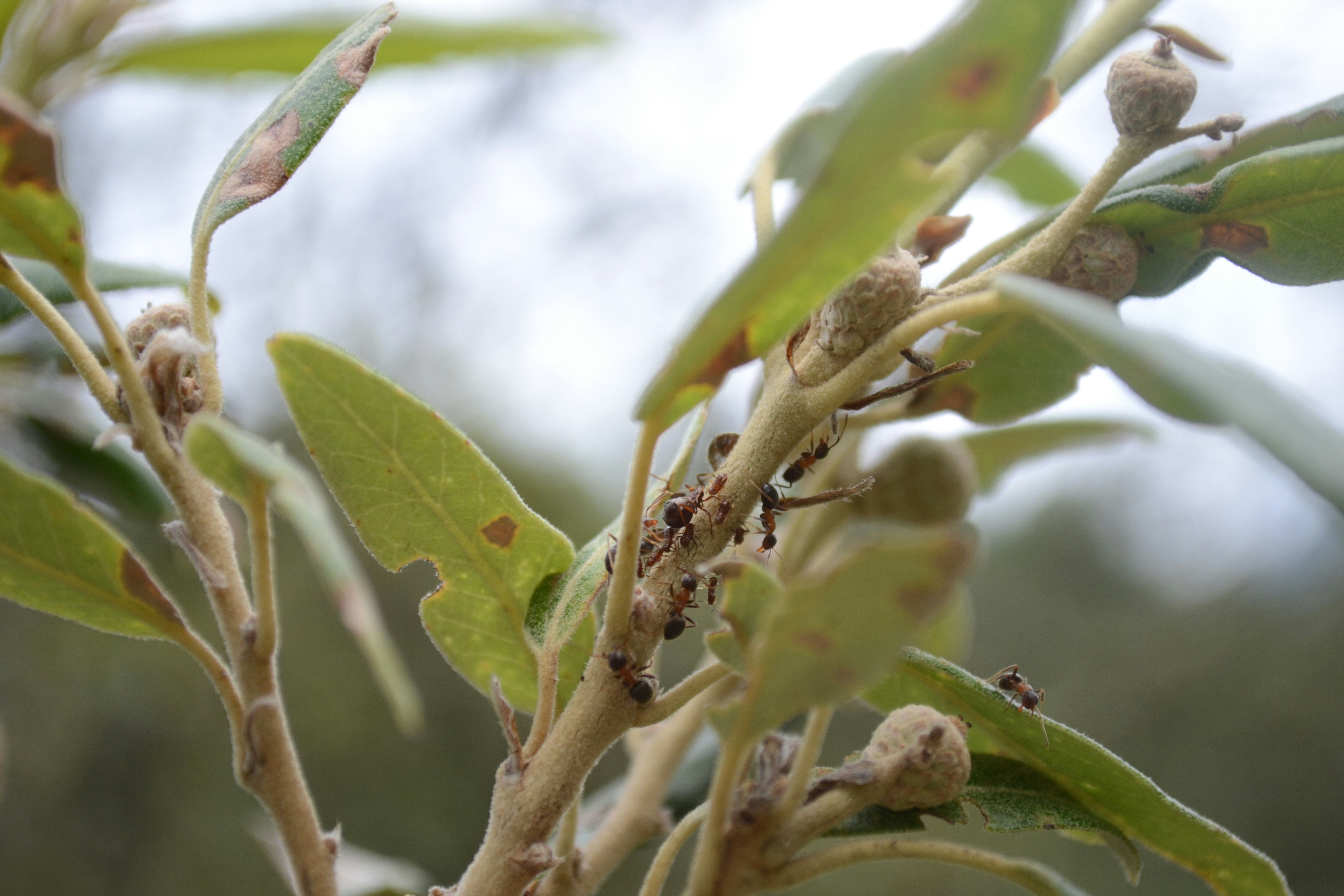 Free Unsplash photo from Joachim Bertelsen