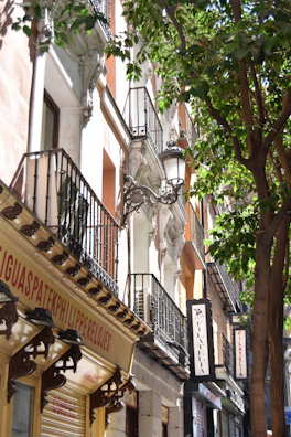 View of the charming street outside Casa Duque, capturing the Madrid neighborhood atmosphere.