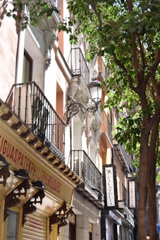A street view showcasing an elegant European building facade with decorative iron balconies. The scene is enriched by the presence of leafy green trees casting shadows on white and beige walls. Store signs in Spanish indicate nearby shops, adding character to the urban setting.