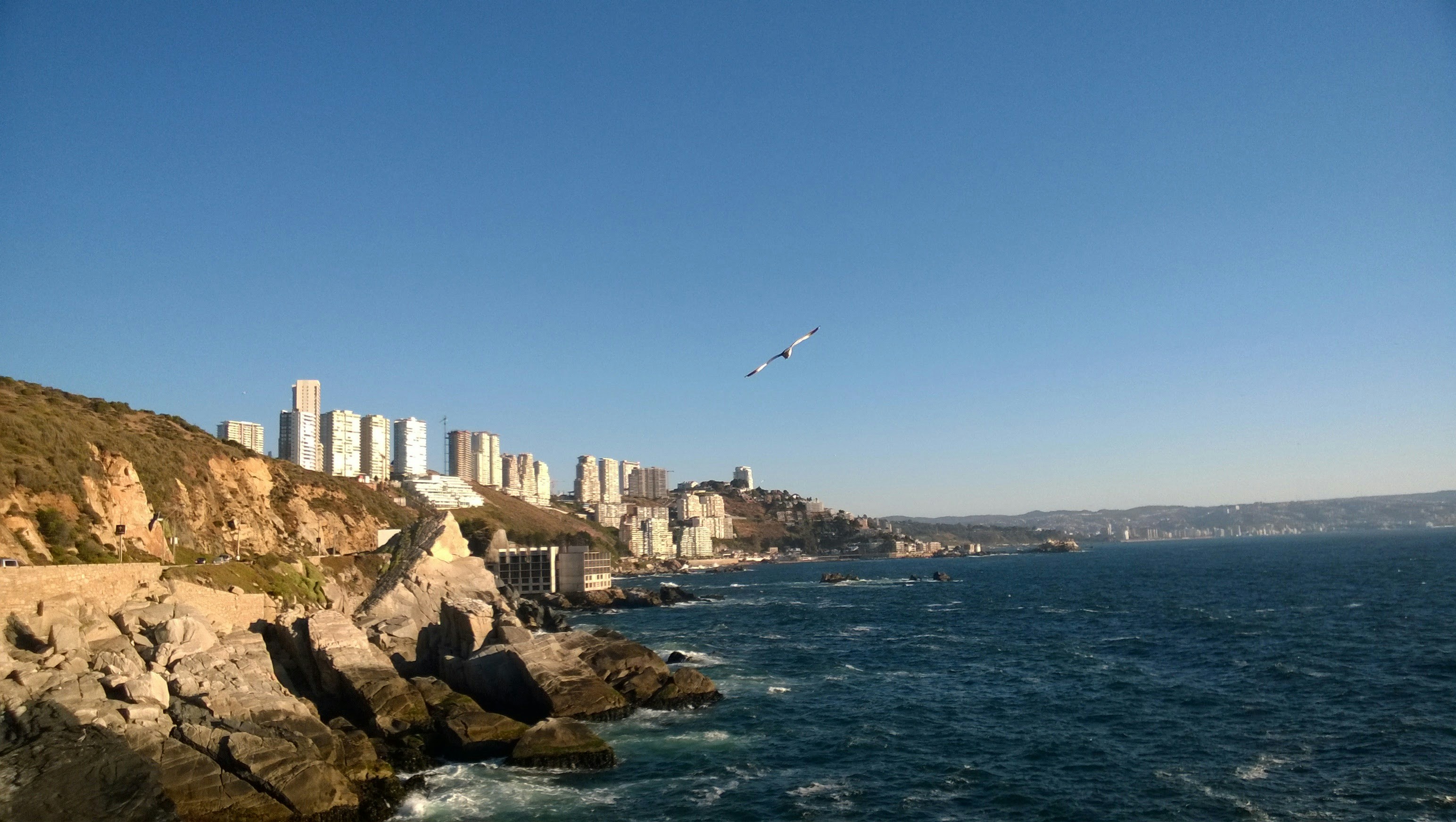 Free Unsplash photo from Monica Echeveria