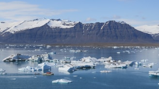 Icebergs float in a serene blue lagoon with a backdrop of snow-capped mountains under a clear sky. A small boat carrying people is navigating through the icy waters.