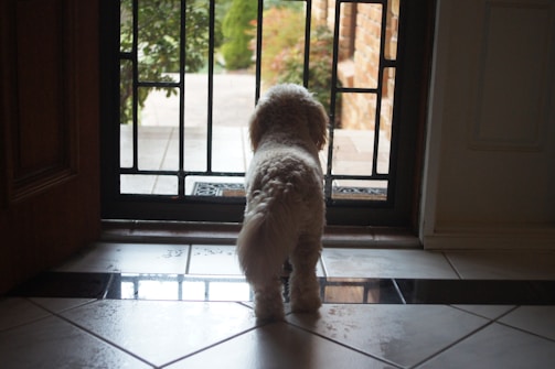 A pet safety net enclosing a small terrace, allowing pets to enjoy outdoors safely.