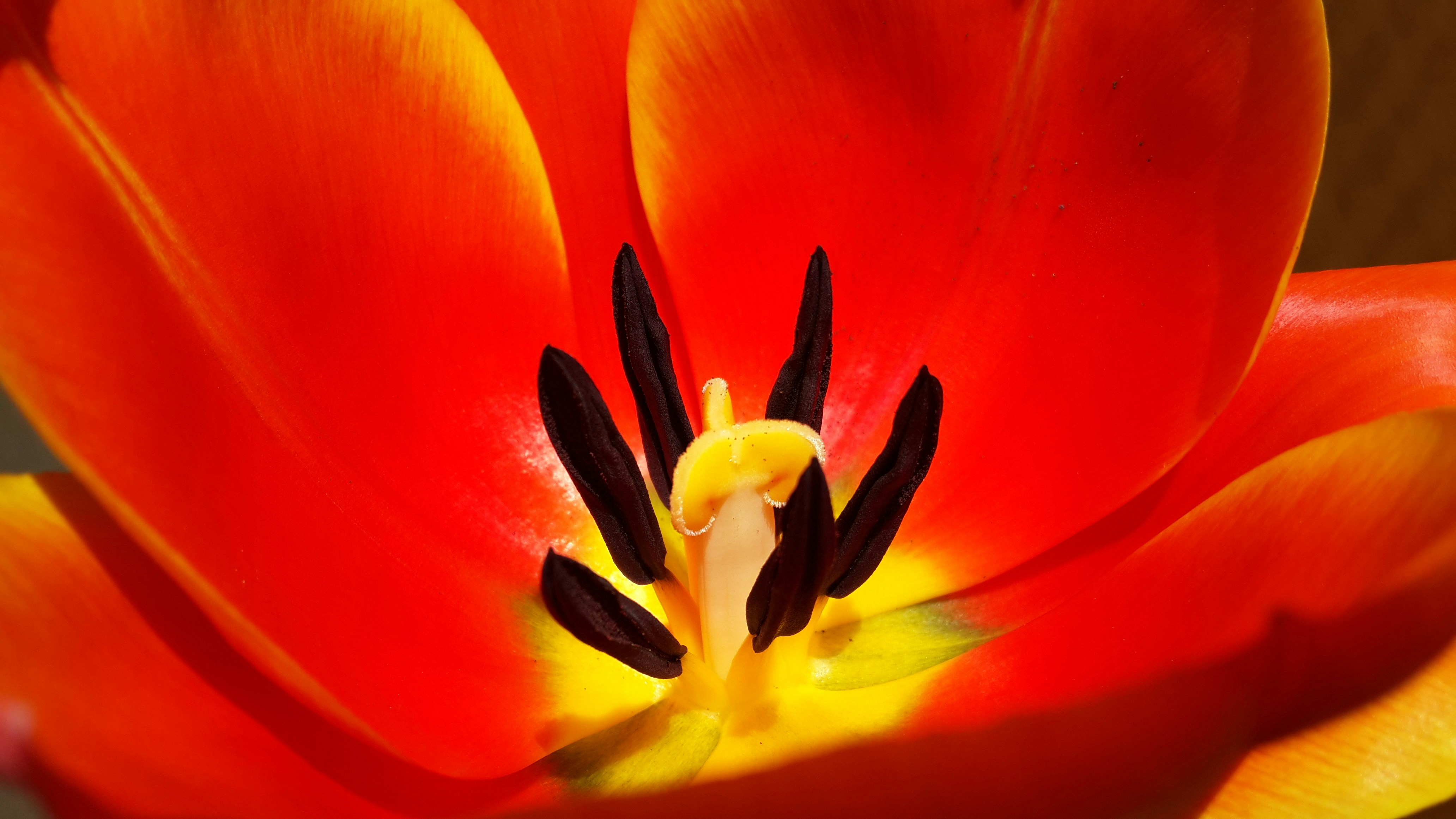 Free Unsplash photo from chkyc