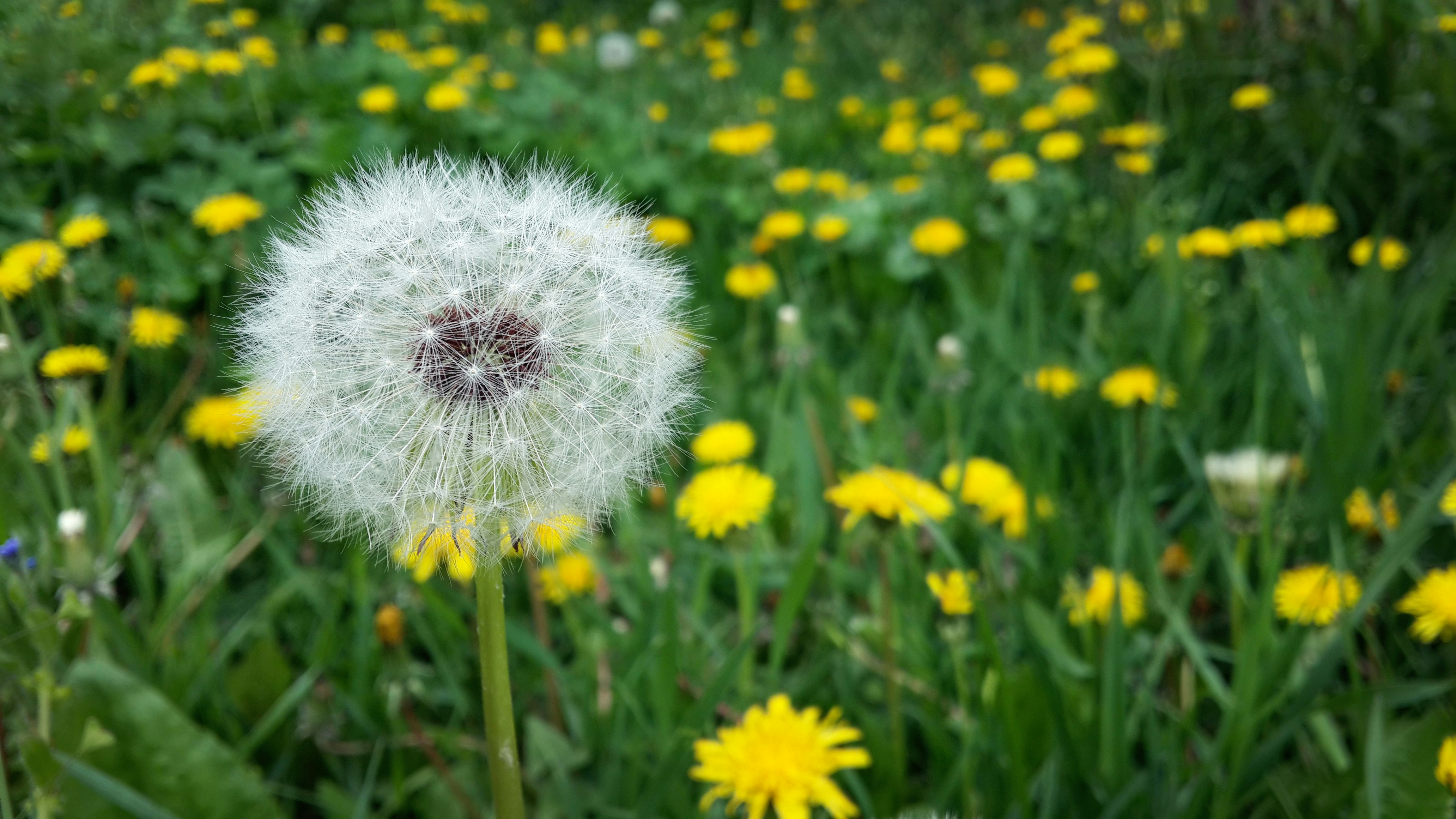 Free Unsplash photo from chkyc