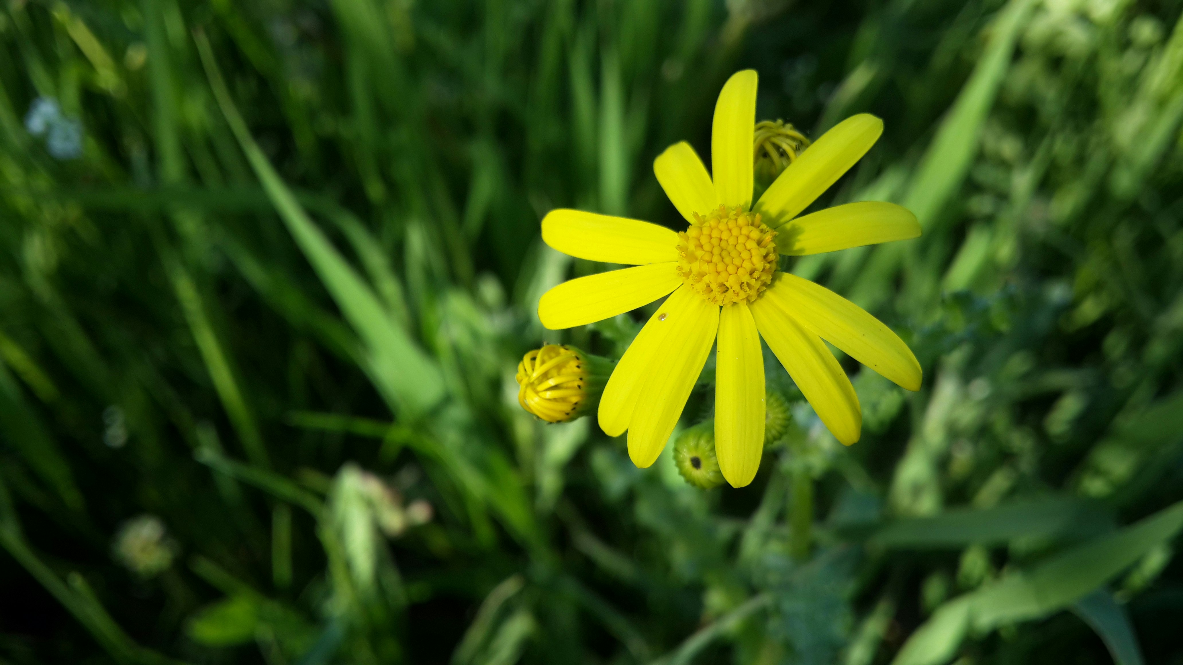 Free Unsplash photo from chkyc