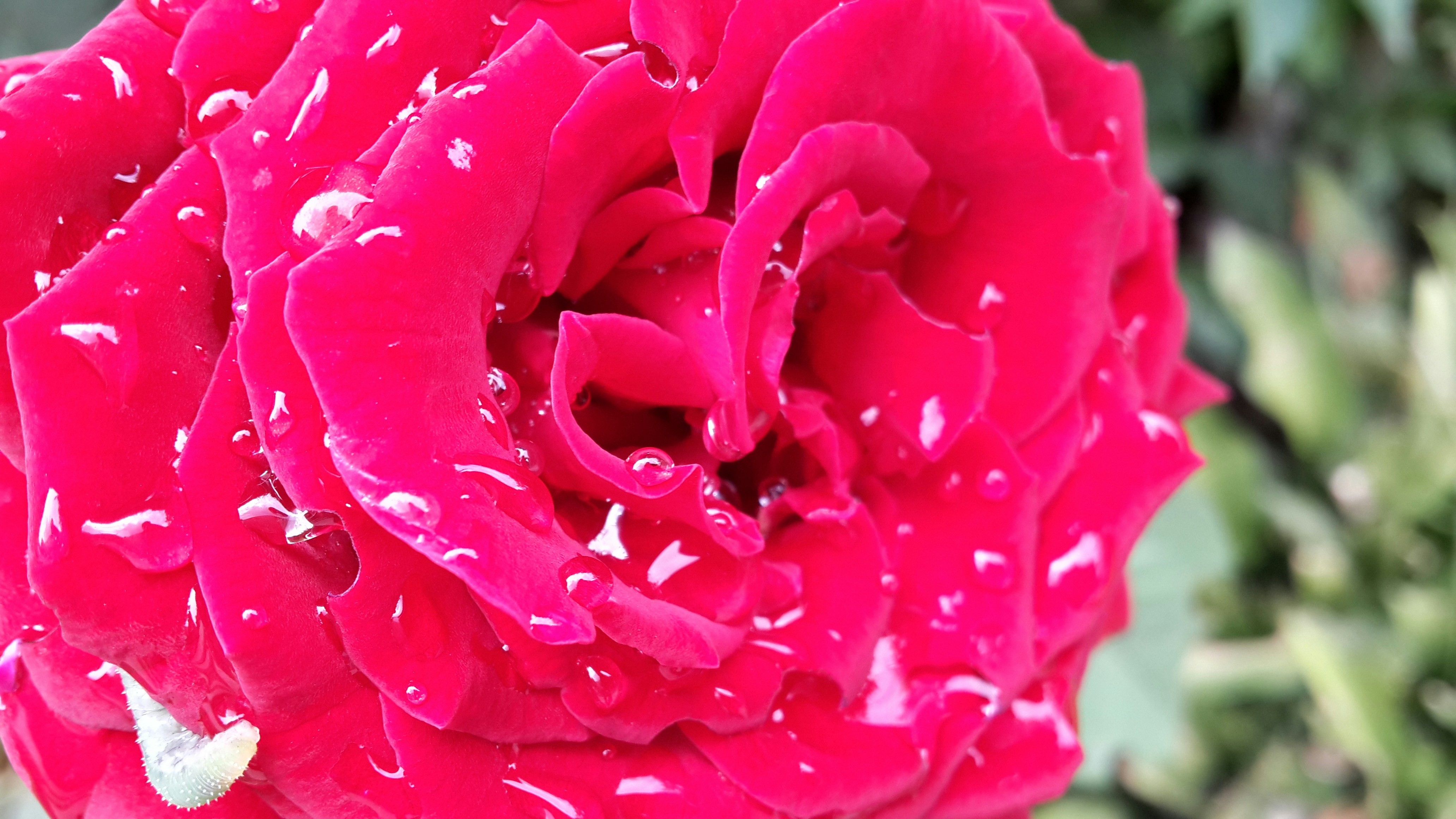 Free Unsplash photo from chkyc