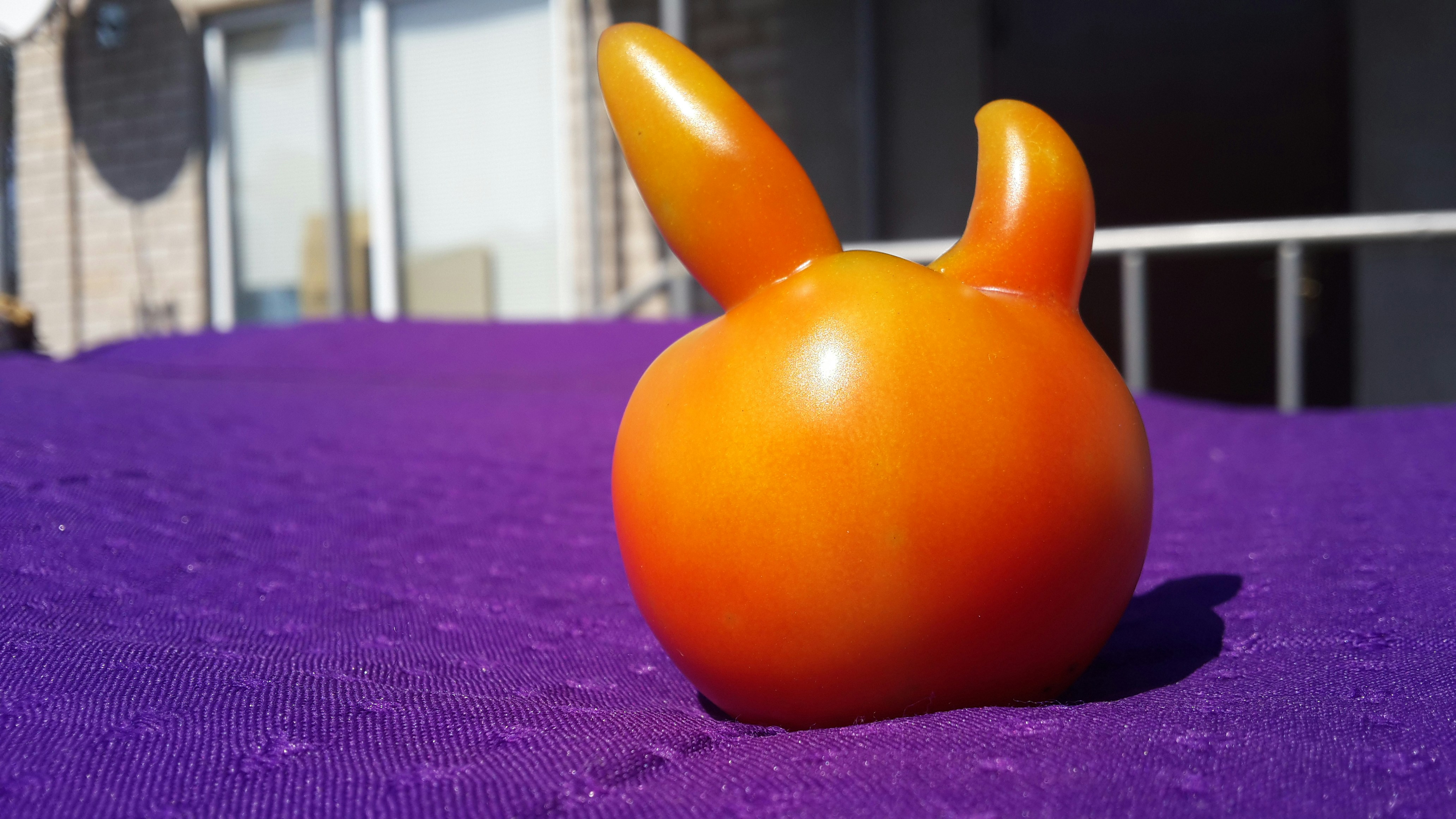 Free Unsplash photo from chkyc