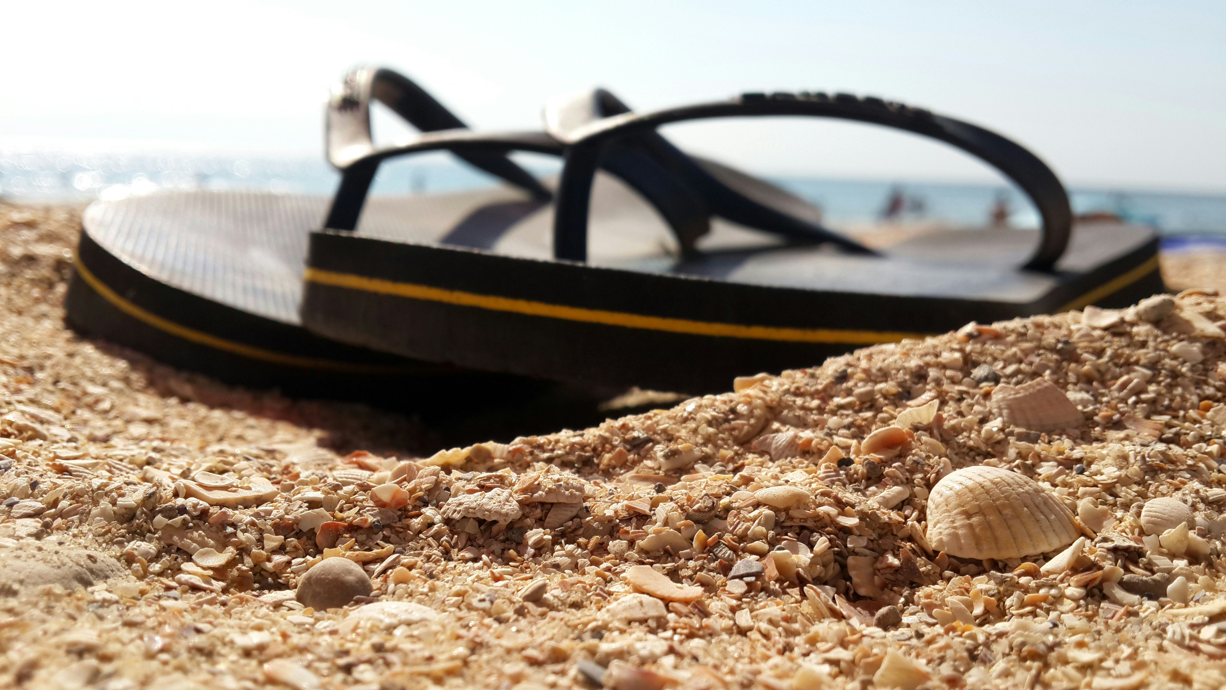 Free Unsplash photo from chkyc