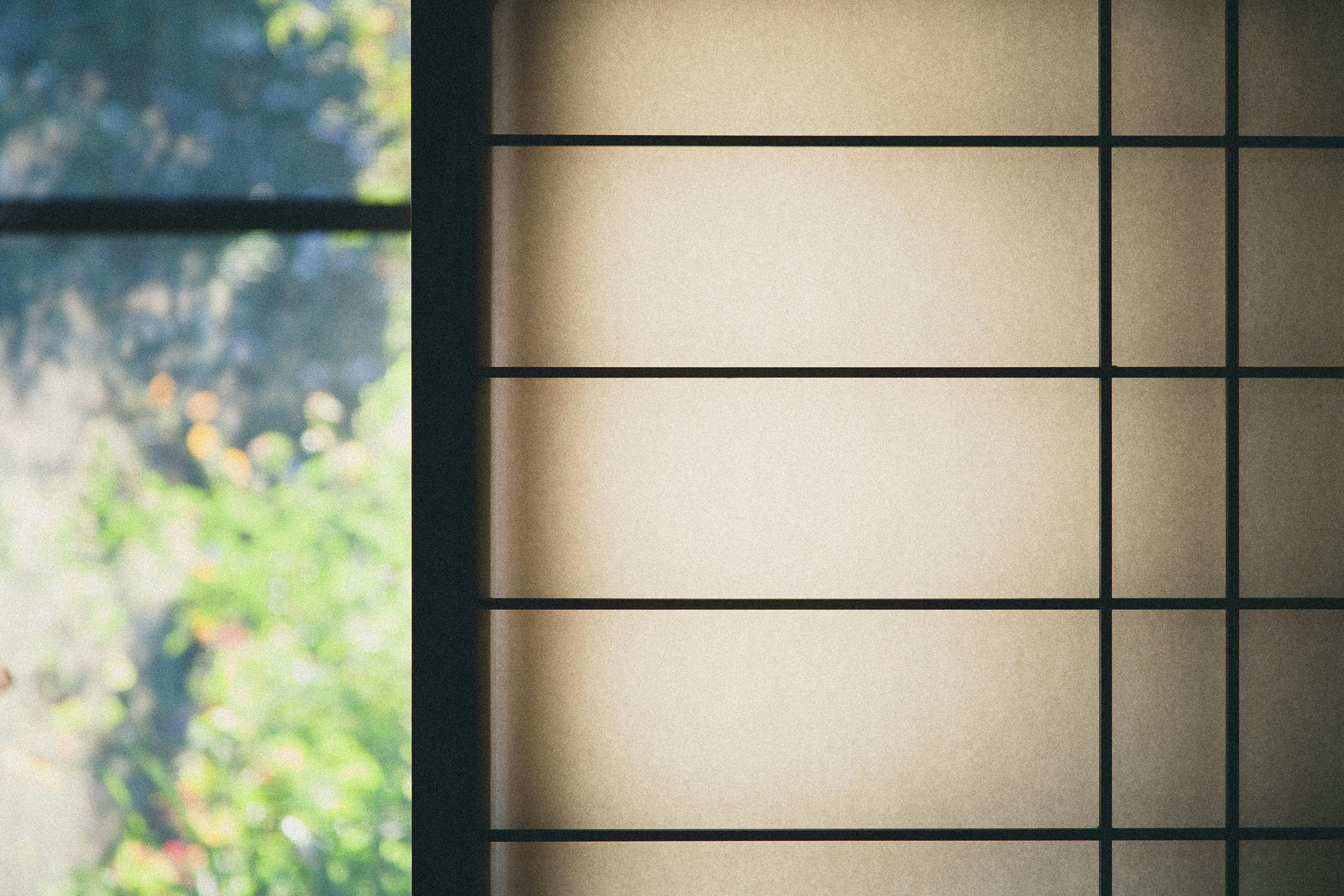 Free Unsplash photo from Francesco Gallarotti