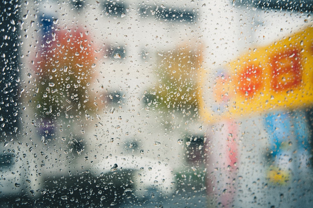 photography of rain drops