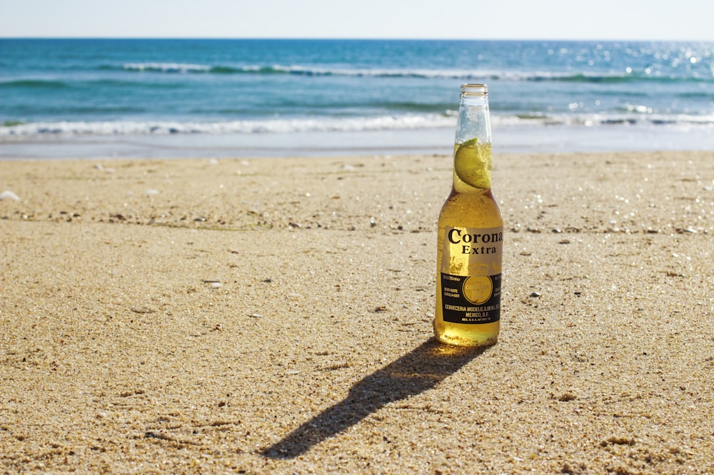 Corona Extra bottle on seashore during daytime