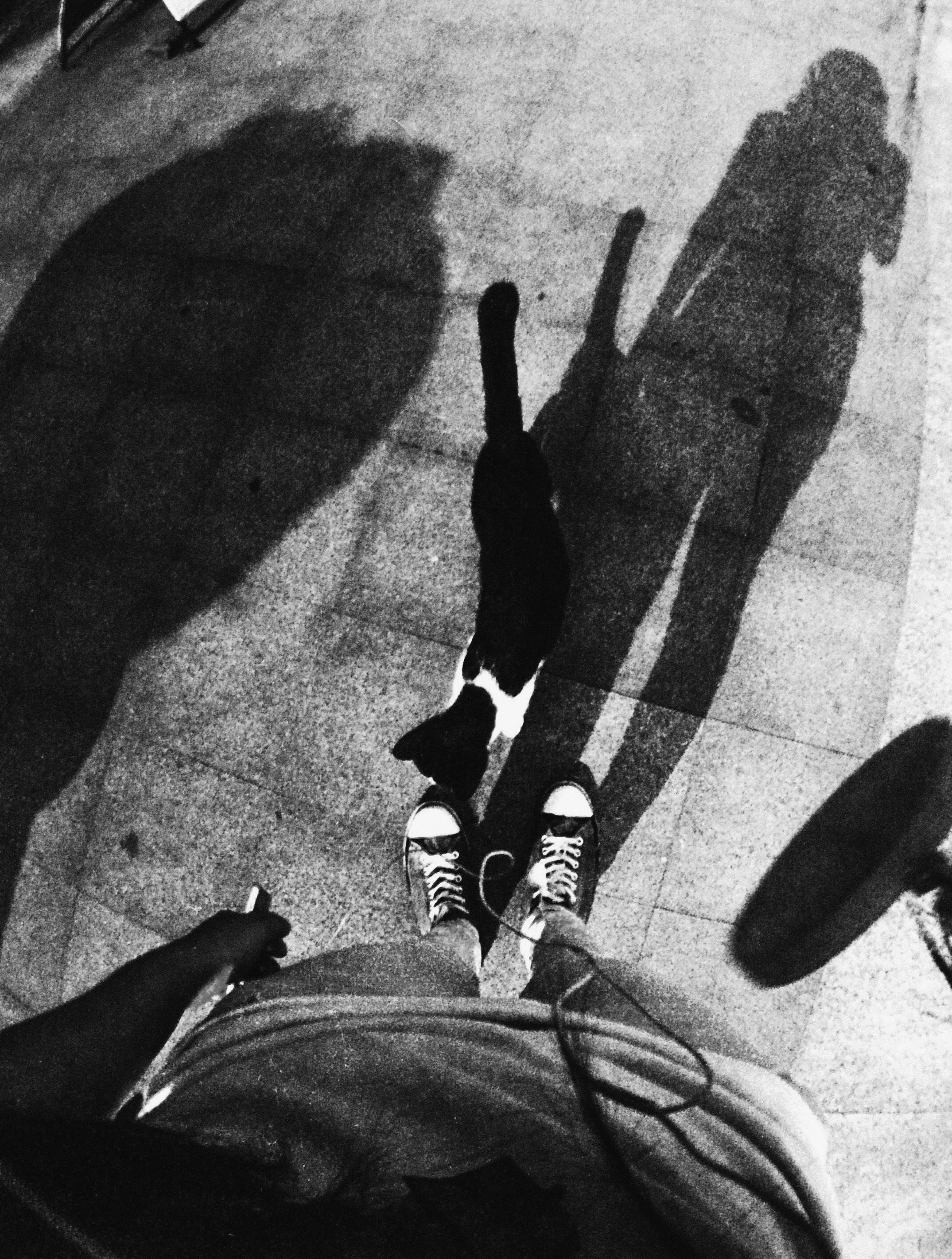 Free Unsplash photo from Fresilia Vebriani