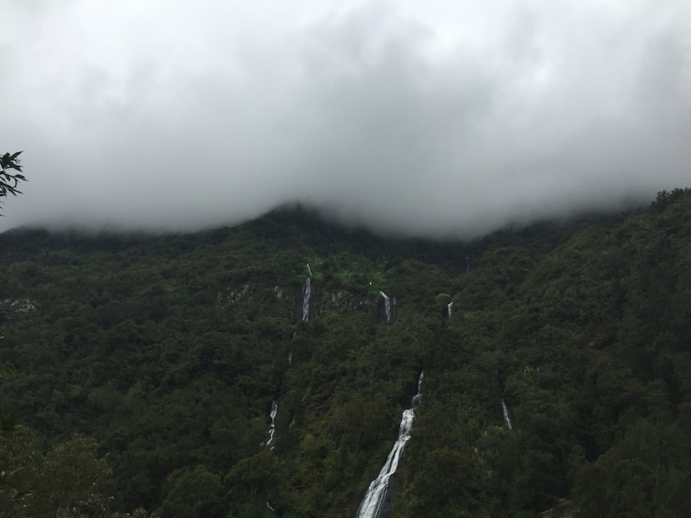 waterfalls in forest under white clouds nature photography