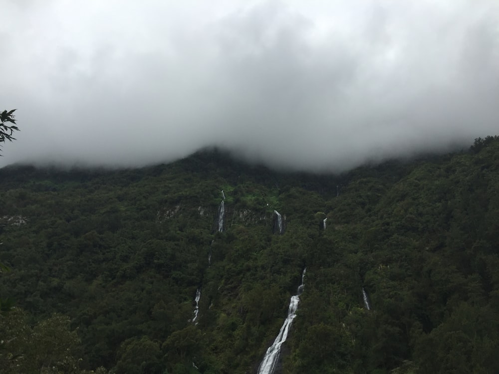 白い雲の下の森の滝、自然写真