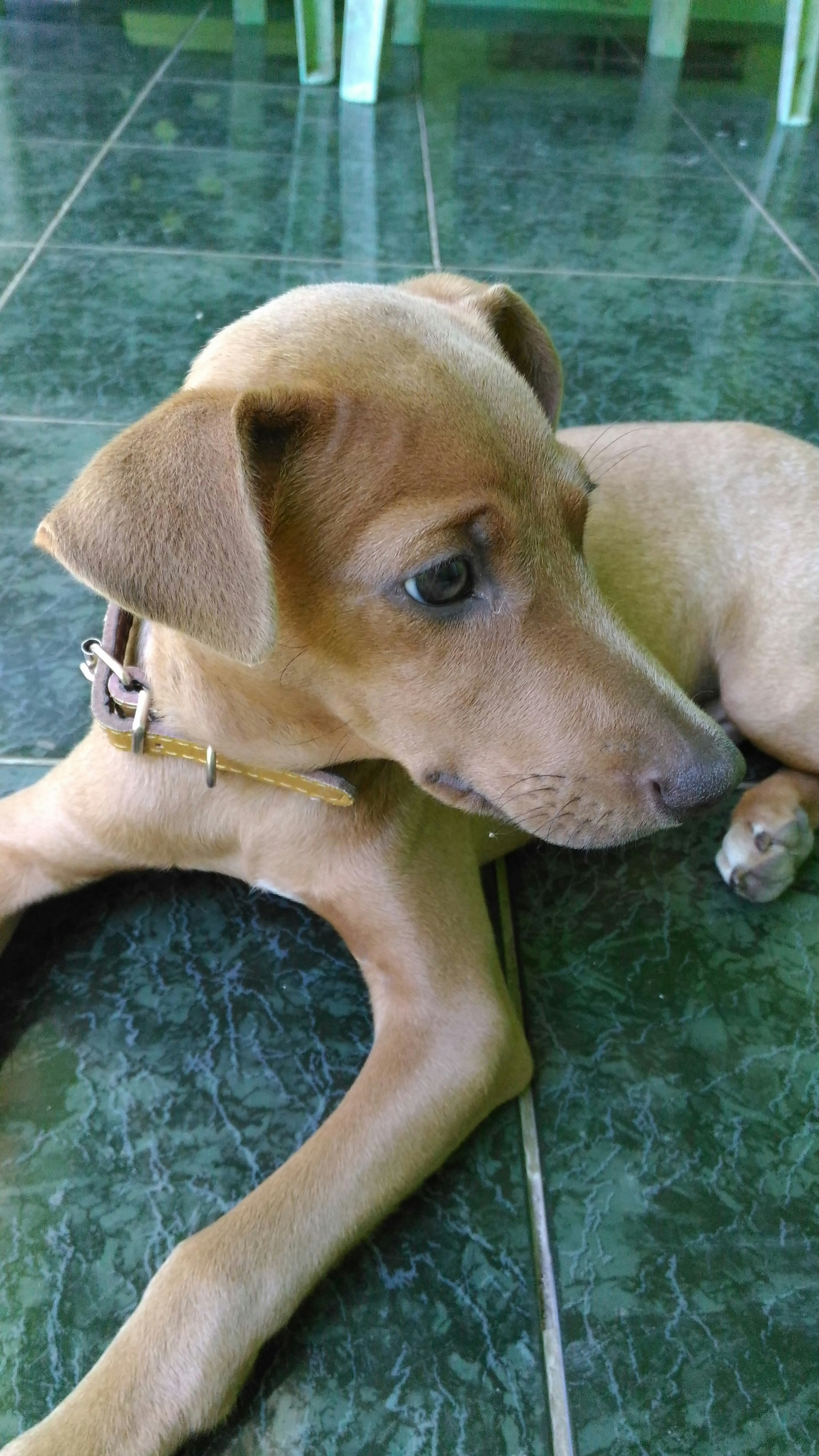 Free Unsplash photo from Winz Naive