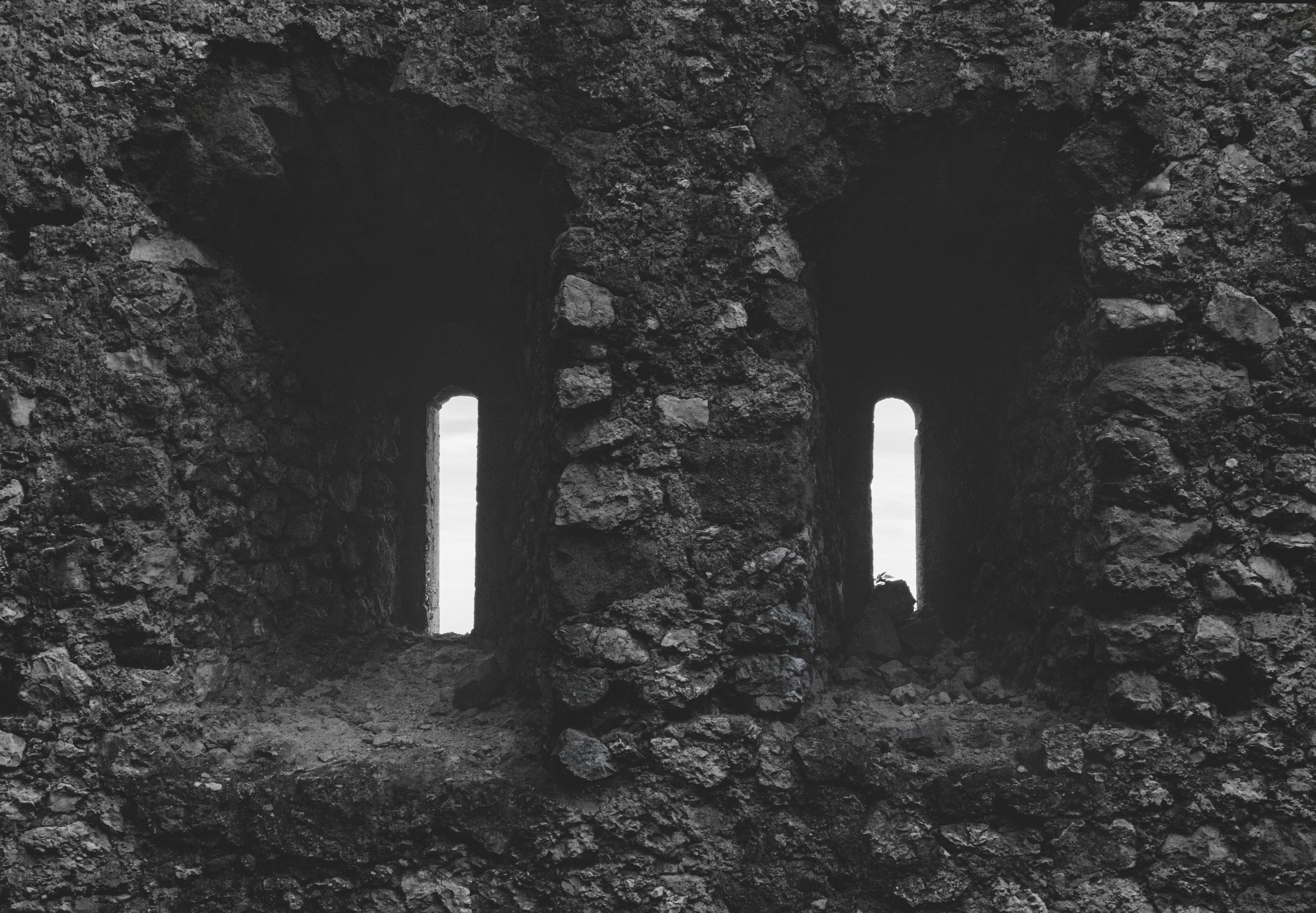 Free Unsplash photo from Zelda Prozek