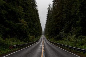 gray road between green trees