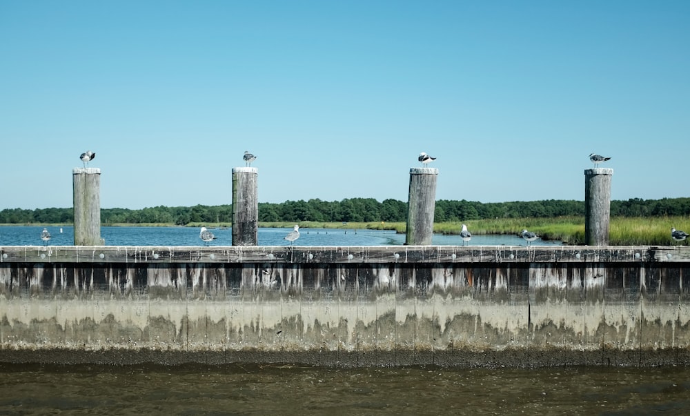 gray concrete building near body of water during daytime