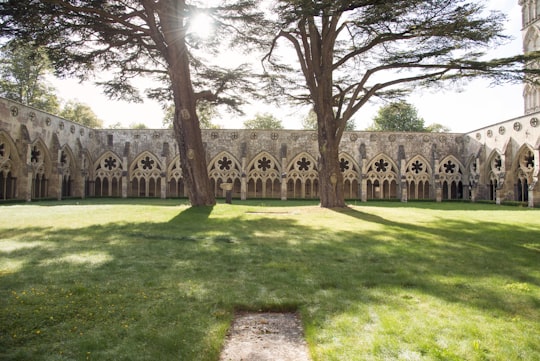 Salisbury Cathedral things to do in New Forest District