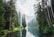 body of water surrounded by pine trees during daytime