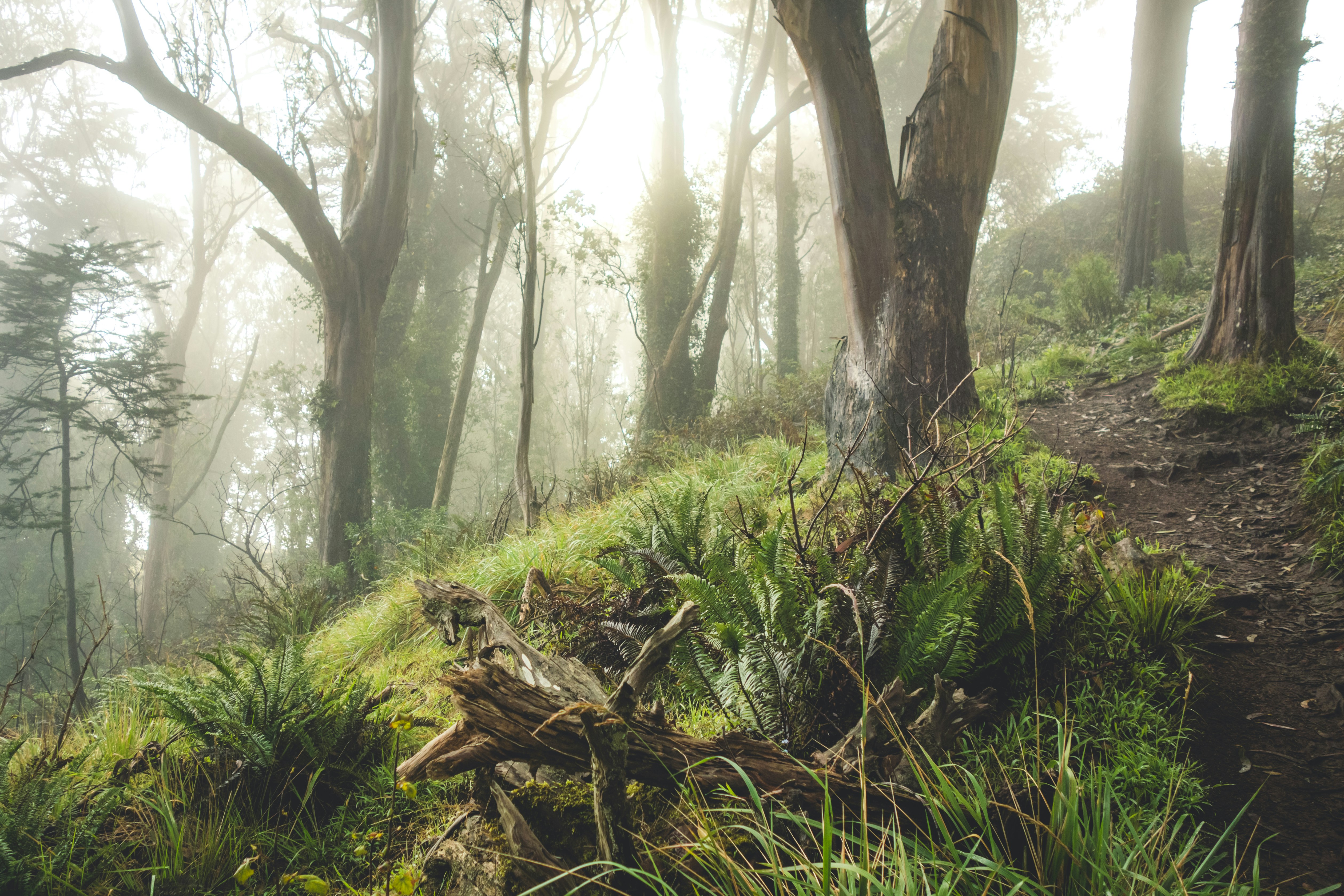 Free Unsplash photo from Matt McLean